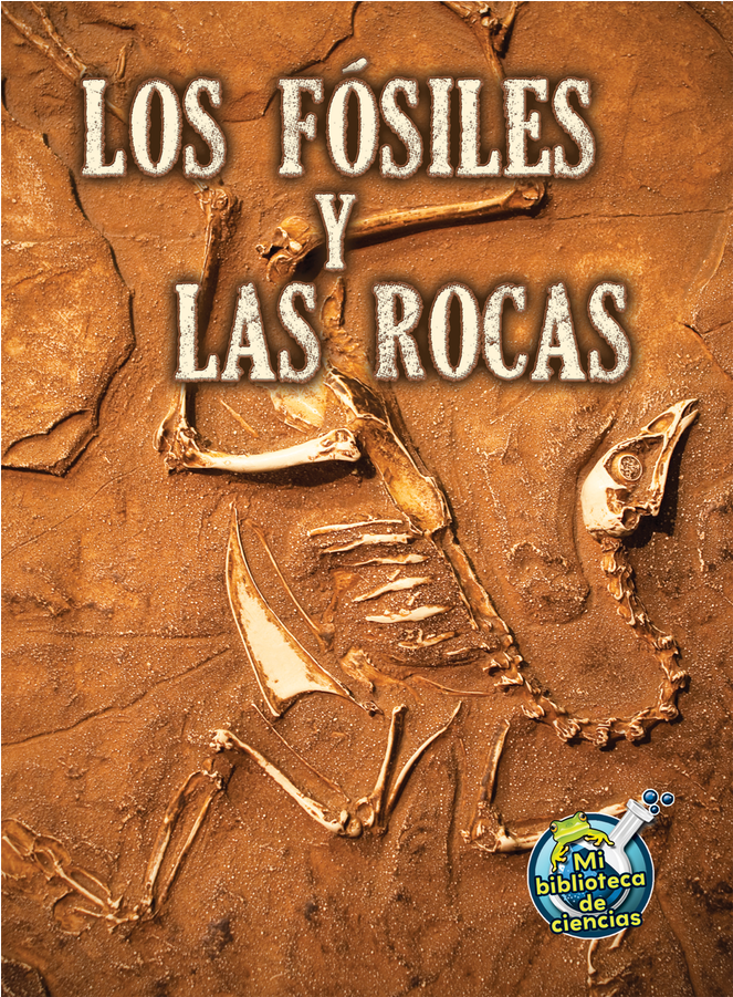 Tcr173117 Los Fosiles Y Las Rocas Image (900x900), Png Download