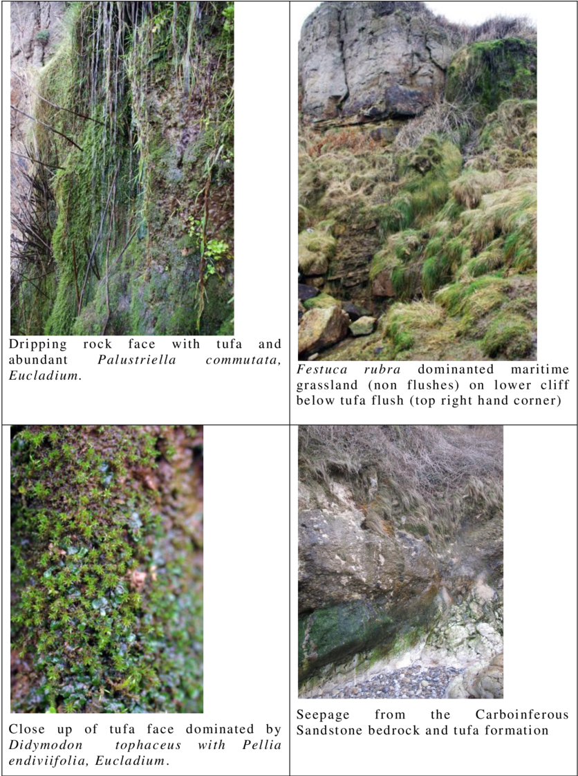 Fedw Fawr Beach Site 2 Photograph (850x1121), Png Download