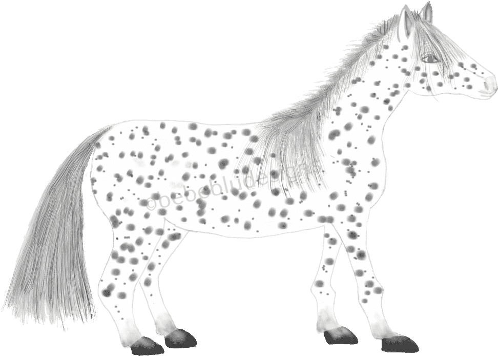 Horse Black And White (1024x726), Png Download