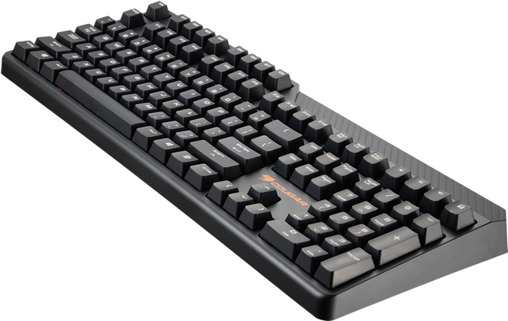 Cougar Attack 2 Cougar Attack 2 Cougar Attack 2 (800x600), Png Download