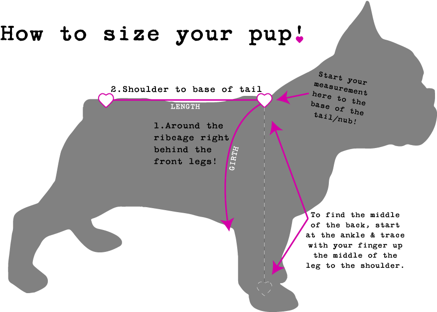 Download Sizing Chart Full Size PNG Image PNGkit