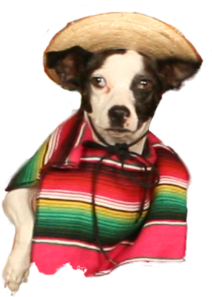 Pancho Villa (750x1050), Png Download