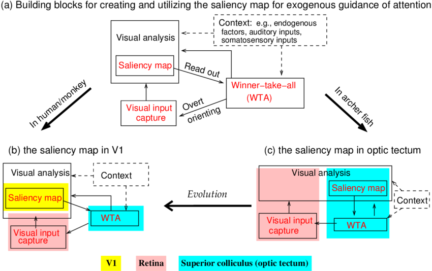Building Blocks For The Creation And Utilization Of (850x534), Png Download