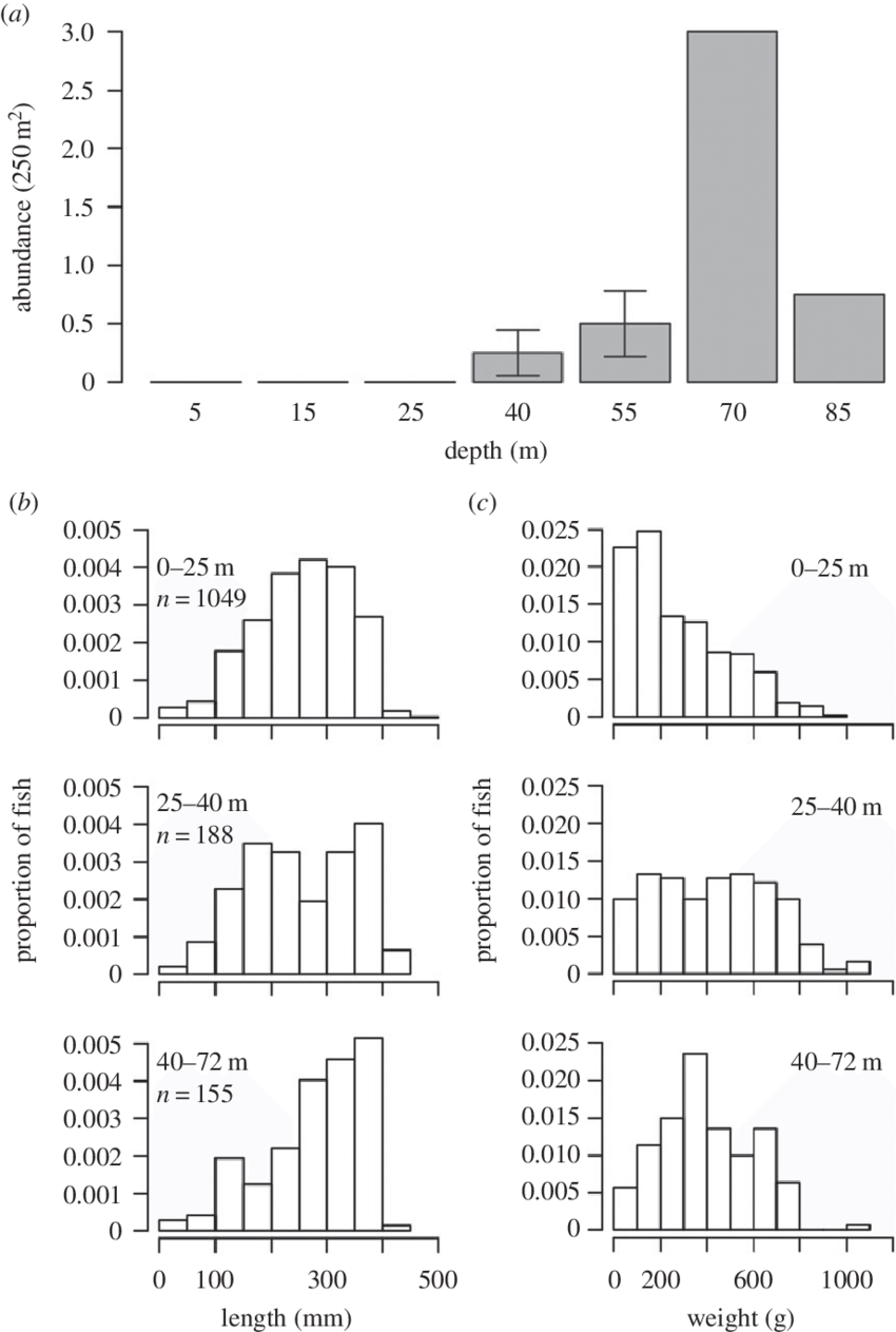 Lionfish Abundance Recorded Across The Depth Gradient (850x1263), Png Download