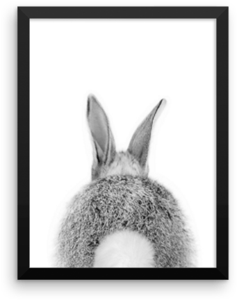 Bunny Tail (600x600), Png Download