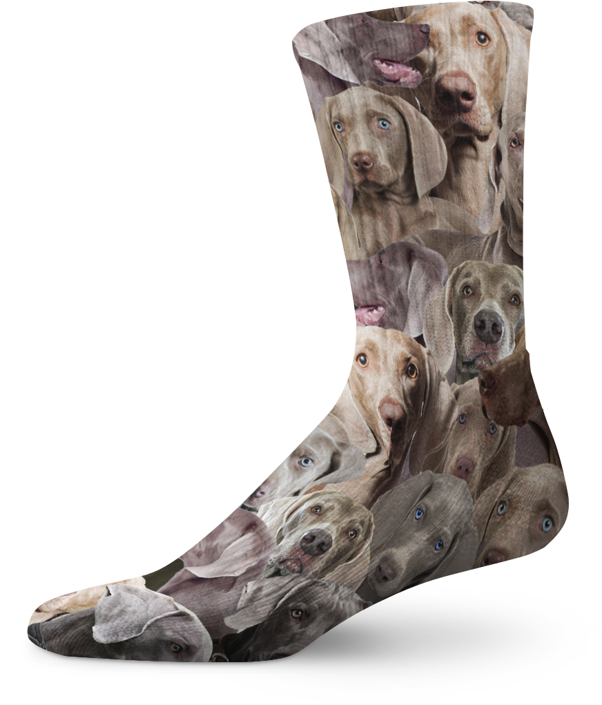 Download 1 - Full Size PNG Image - PNGkit