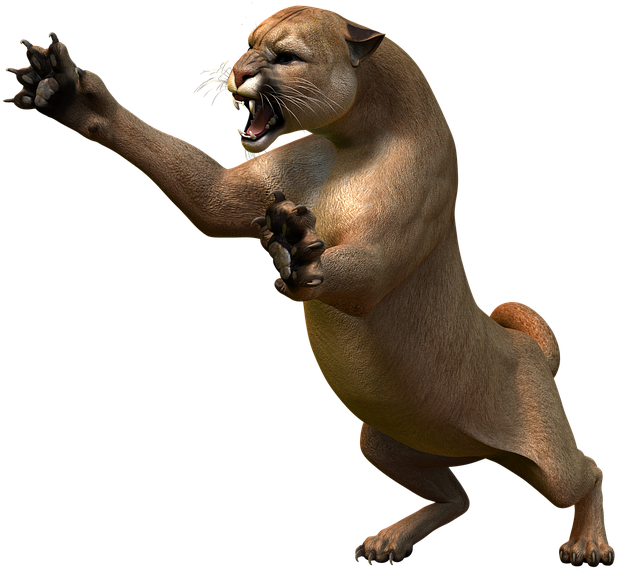 Mountain Lion, Predator, Puma, Wildcat, Big Cat (960x720), Png Download