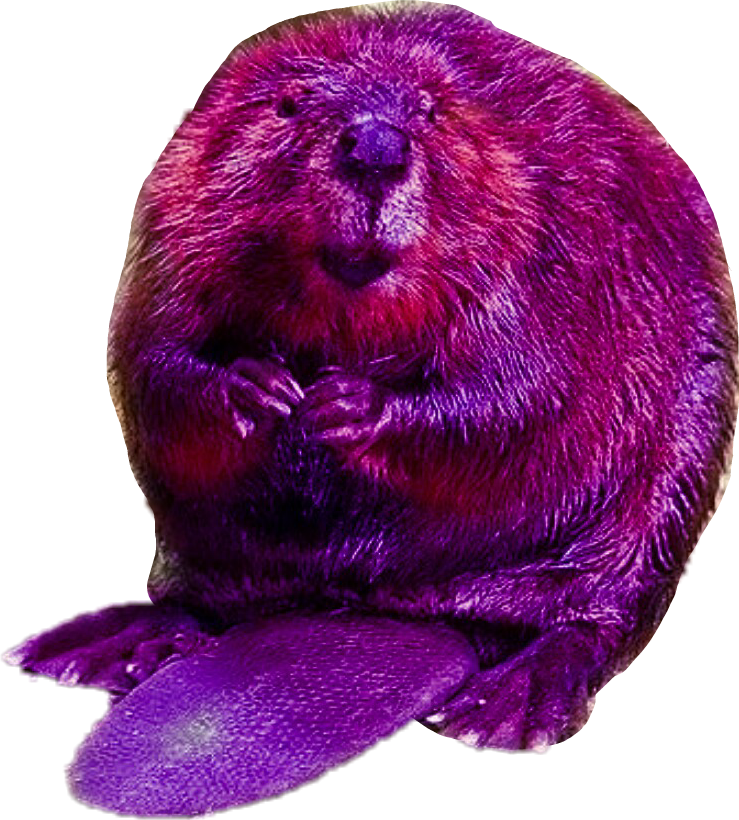Sea Otter Png (739x820), Png Download
