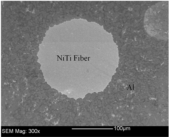 Niti-reinforcement Fiber In The Aluminum Matrix Composite (903x481), Png Download