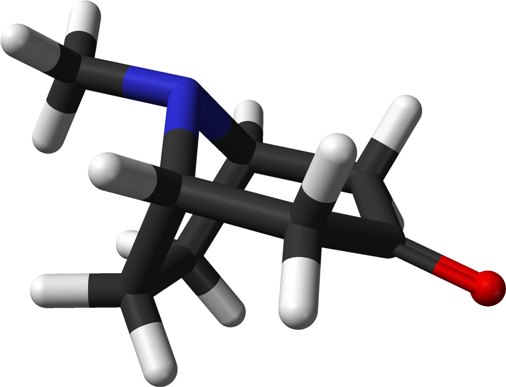 Tropinone 3d Sticks (1100x864), Png Download