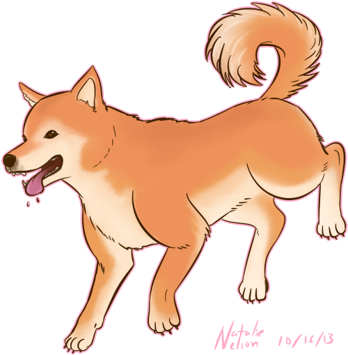 Shiba Inu (600x525), Png Download