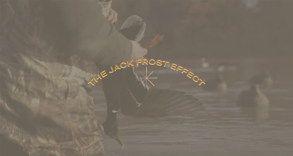 Until Just Recently, It Seems As Though Ol' Jack Frost (1000x532), Png Download