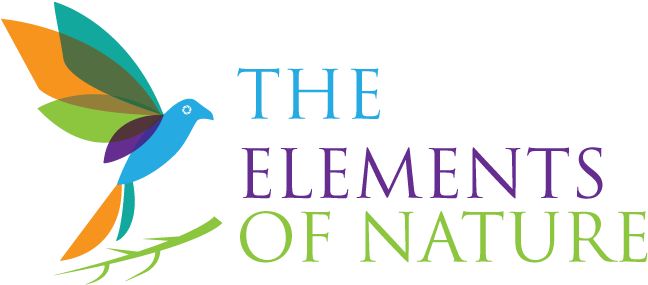 Logo Design By Design Cruiser For This Project (1200x1000), Png Download