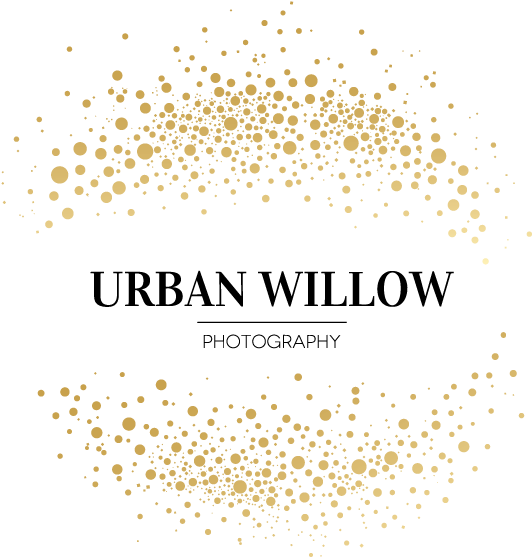 Packaging Logo For Urban Willow Photography (792x612), Png Download