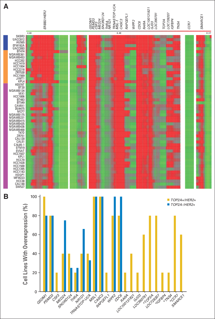 Expression Patterns For 23 Genes Composing Topoisomerase (744x1102), Png Download