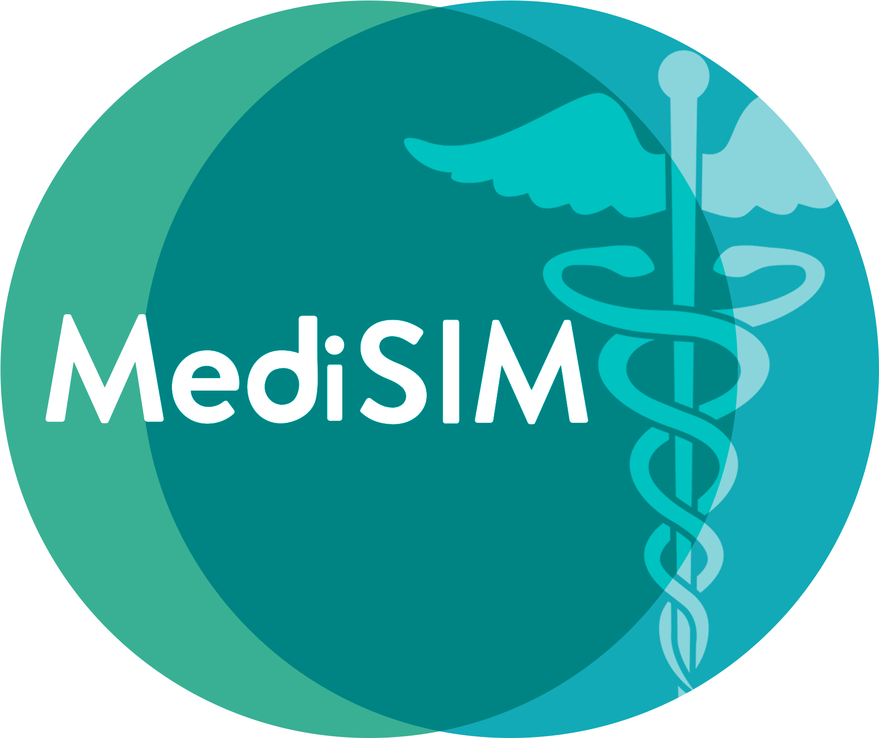 Medical Simulated Interactive Manekin (2048x2048), Png Download