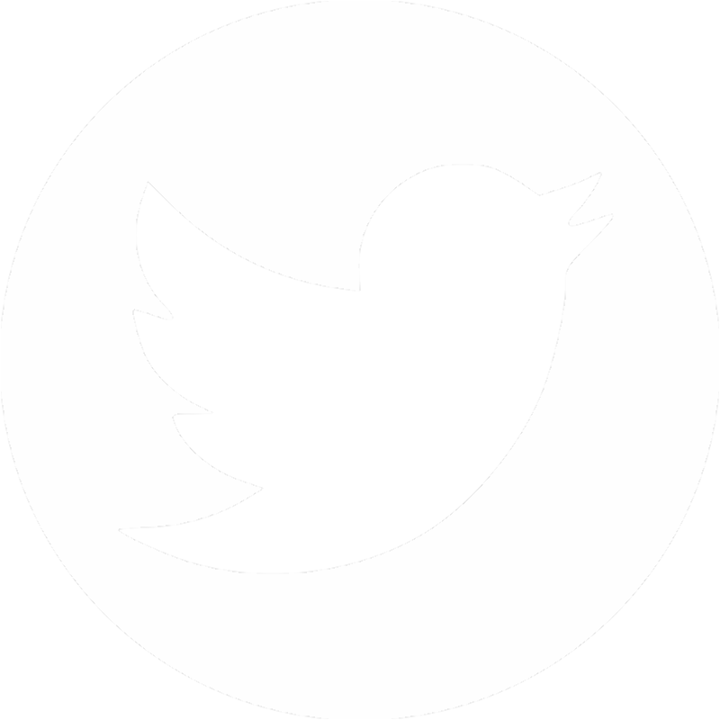 University Of Notre Dame Press (800x800), Png Download