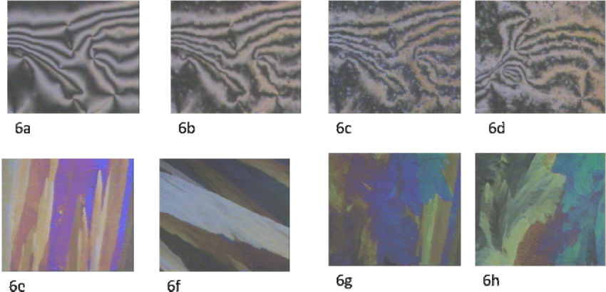 Point Singularities As Evidence Of Nematic Schlieren (850x410), Png Download