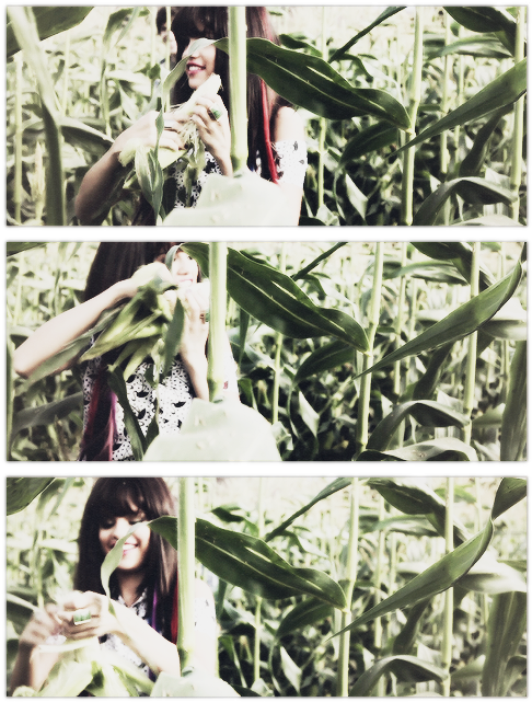 Http - //24 - Media - Tumblr - Com/ea321c370c25 O1 (500x700), Png Download