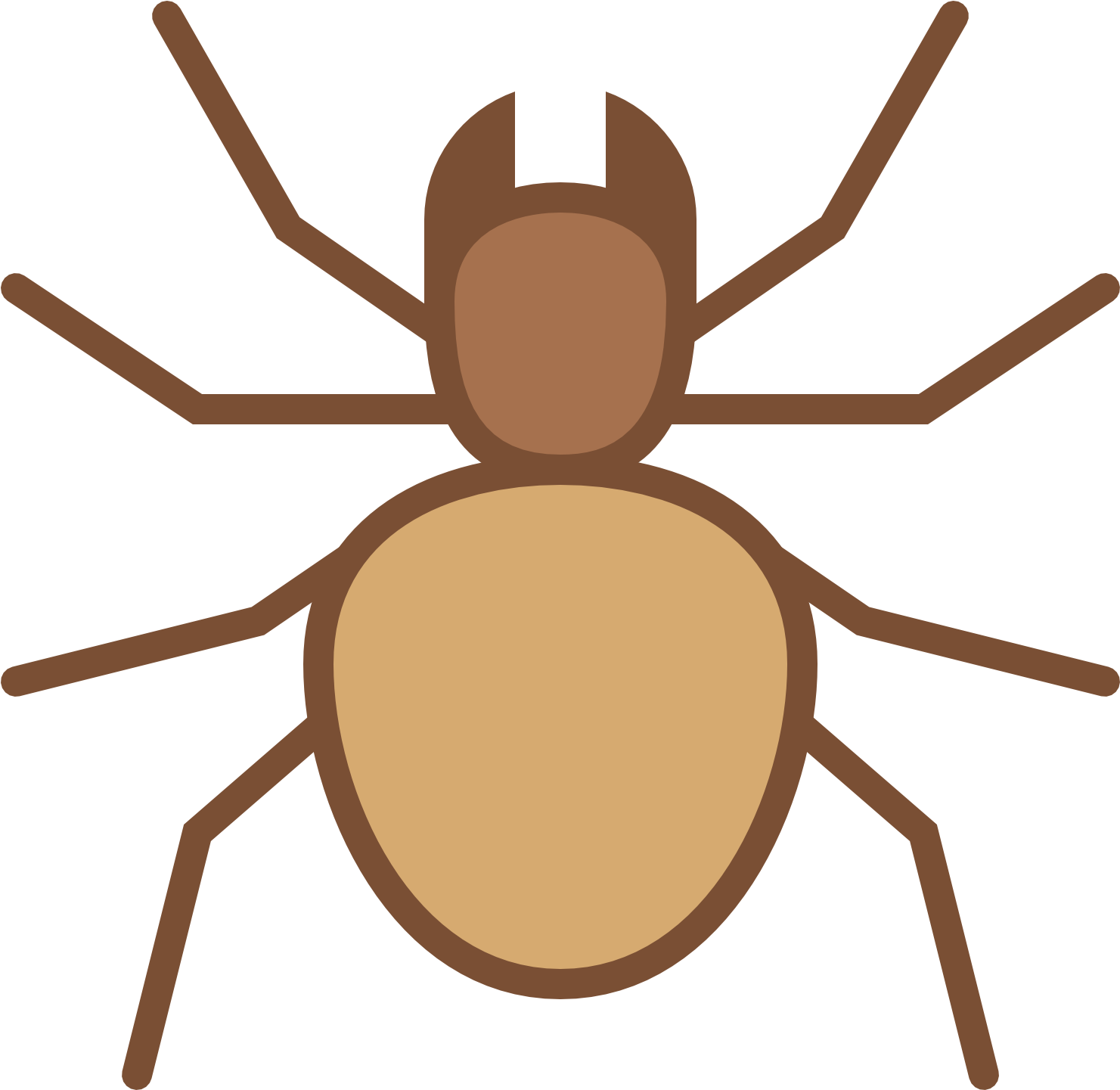 This Logo Is Of An Arachnid, Or Spider (1600x1600), Png Download