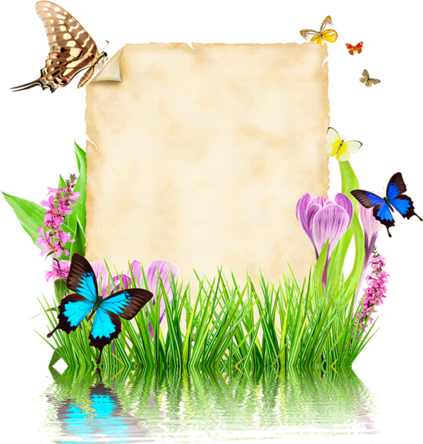 Parchemins Writing Paper, Vector Design, Photoshop (600x630), Png Download