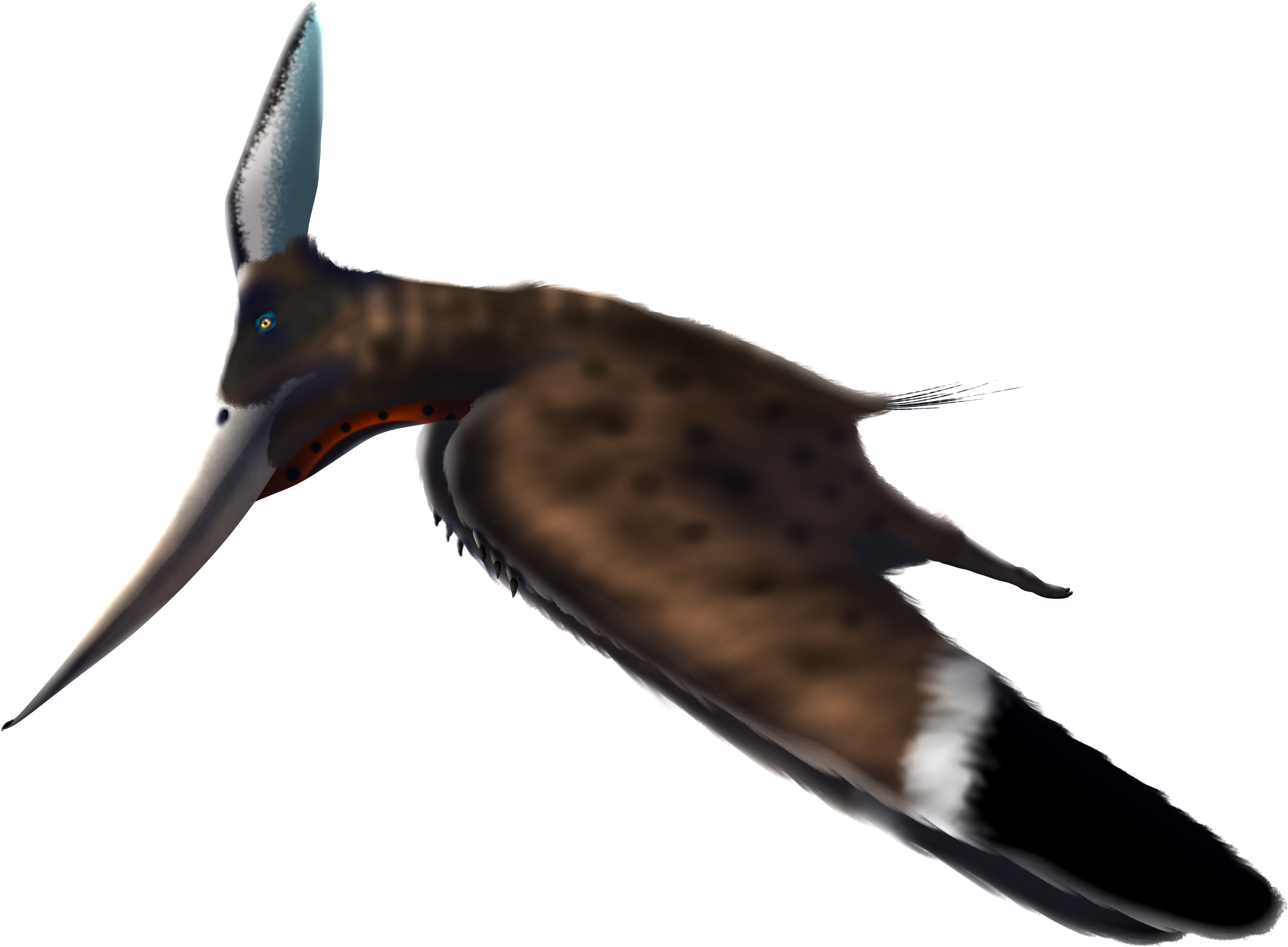 Pteranodon (3250x2250), Png Download