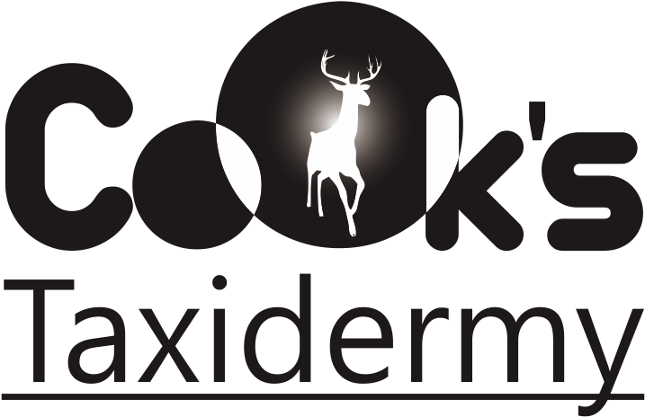 Logo Design By Dara For This Project (1200x1000), Png Download