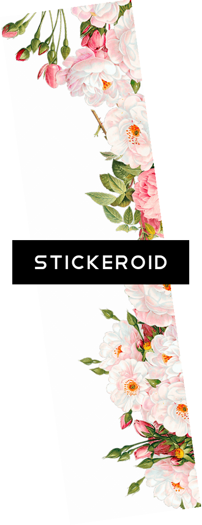 Floral Frame (411x1067), Png Download