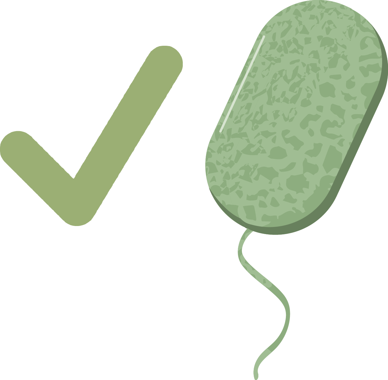 This Is An Example Picture Of A Cell (1254x1229), Png Download
