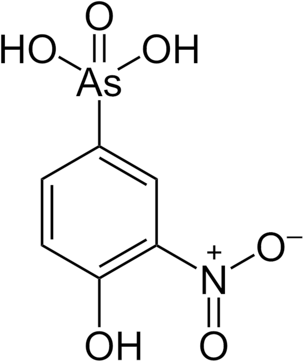From Wikipedia, The Free Encyclopedia (640x752), Png Download