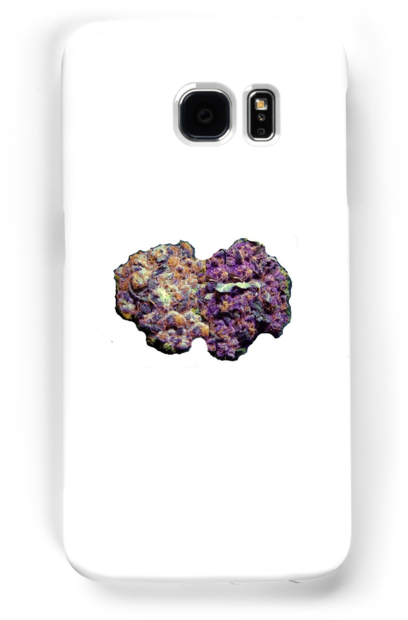Dank Kush Buds 420 Cannabis Ganja Purple Weed (500x700), Png Download