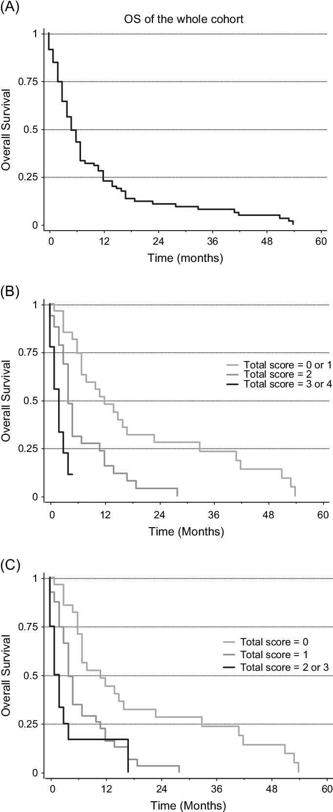 Overall Survival (os) And Prognostic Scores (683x1668), Png Download