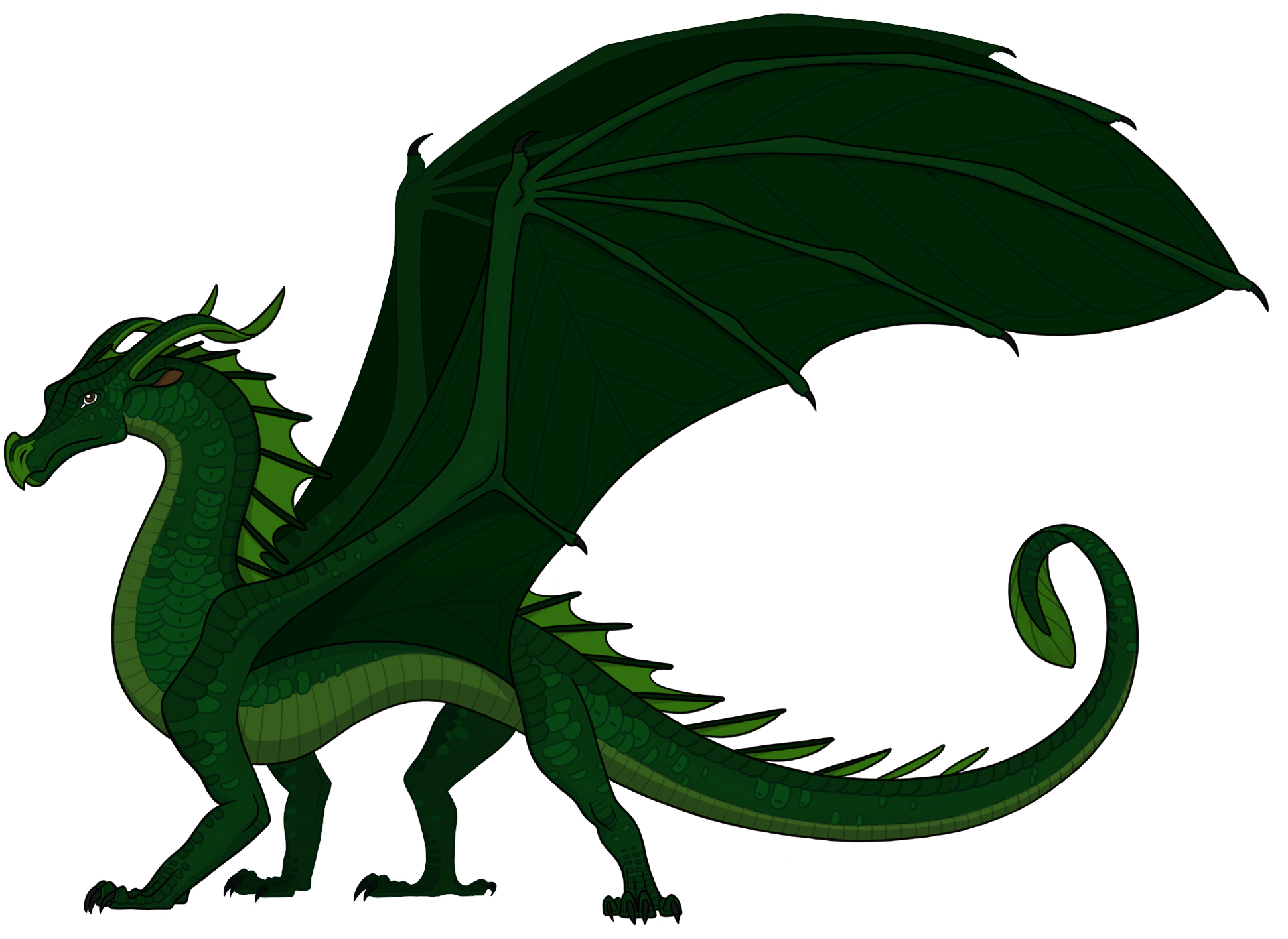 Queen Sequoia (1966x1426), Png Download