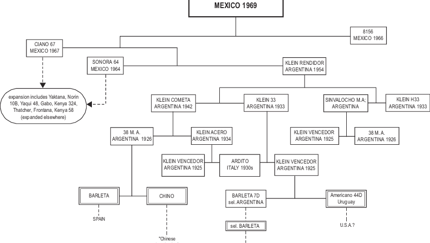 Segment Of Bluebird (847x480), Png Download