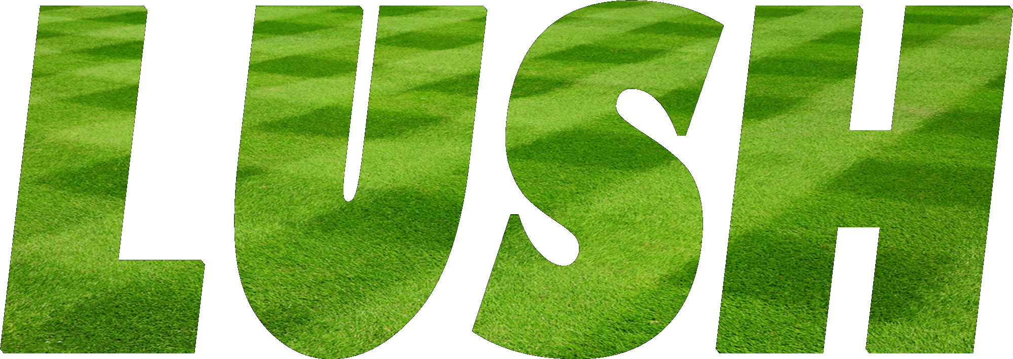 Young Professionals Council 1/24/2019 (2000x709), Png Download