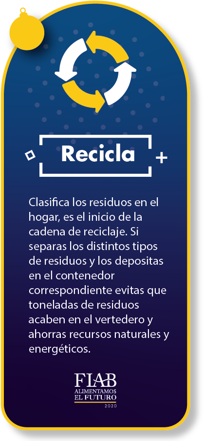 Consejo 6 Para Una Navidad Responsable Y Saludable (525x913), Png Download