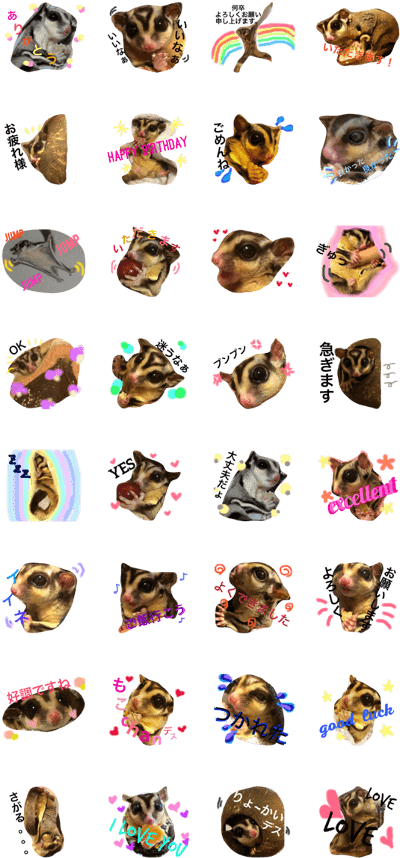 Sugar Glider (420x897), Png Download