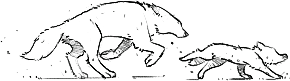 This Article Is About Life Is Strange (1000x320), Png Download