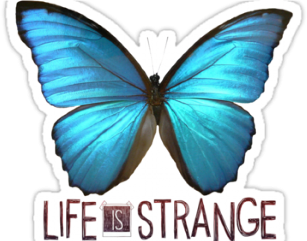 Life Is Strange Clipart Blue Butterfly Tattoo (640x480), Png Download