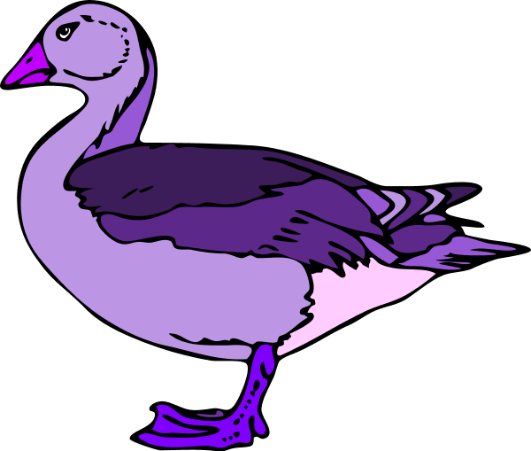 Big Duck Profile - Duck Clip Art (600x509), Png Download