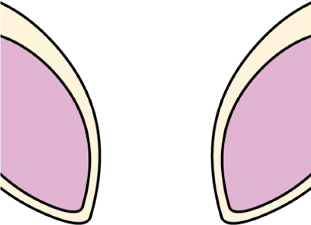 Ear Clipart Horse - Unicorn Ear Clipart (640x480), Png Download
