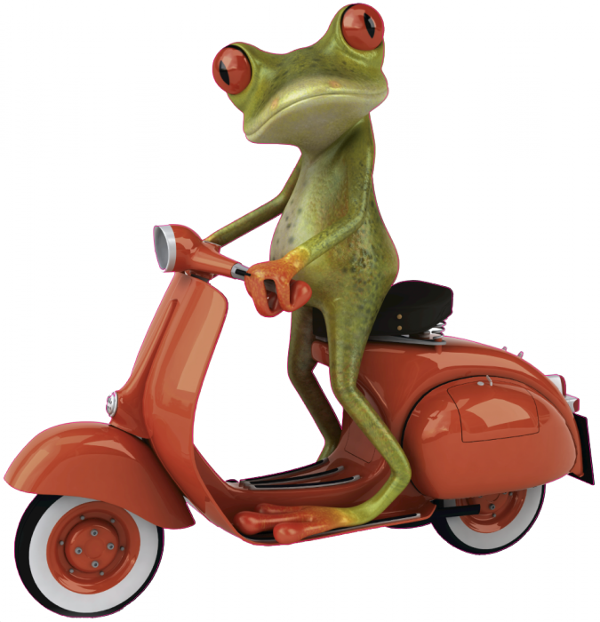 Wallpaper Backgrounds, Desktop Wallpapers, Vespa, Scooters, - Funny Pics Of Frog (675x700), Png Download