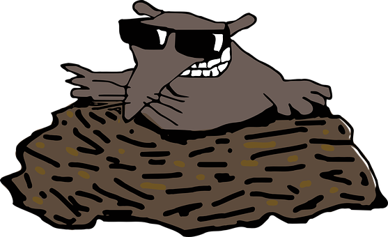 Mole Molehill Animal Fun Sunglasses Mole M - Transparent Mole (557x340), Png Download