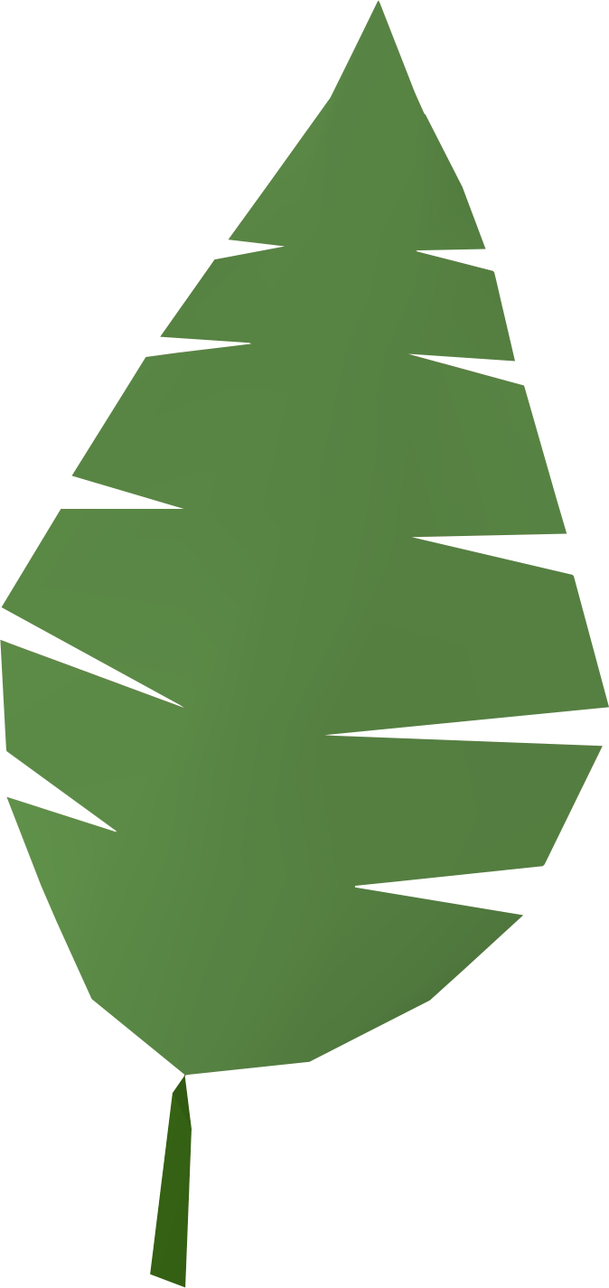 The Runescape Wiki - Palm Tree Leaf Clipart (674x1425), Png Download