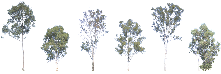 As You Can See Above, The Tropical-alt File Is Much - Flightgear (769x261), Png Download