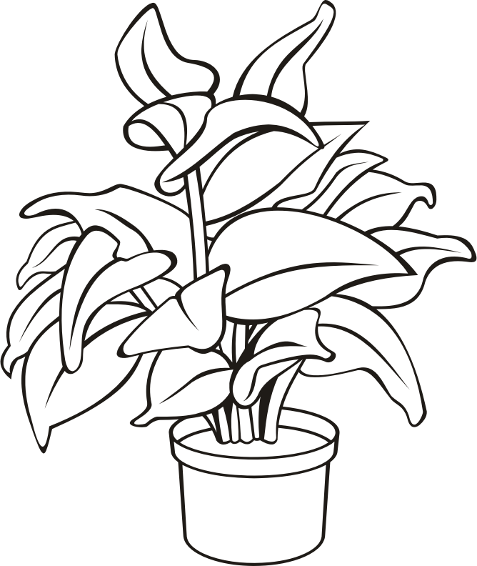 Medium Image - Potted Plant Clipart Black And White (668x792), Png Download