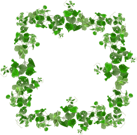 Leaf Frame Png - Cadre Automne - Cadeau Personnalisé (500x488), Png Download