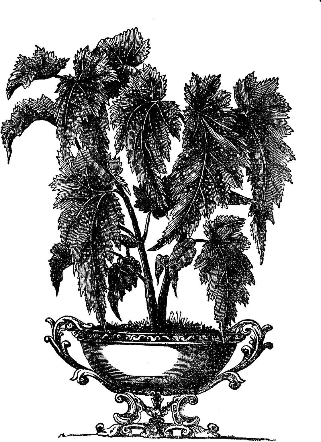 Digital Plant Clip Art - Victorian Indoor Plant Pot (1218x1600), Png Download