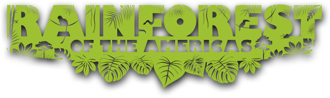 Rainforest Of Americas - Tropical Rainforest Rainforest Logo (650x194), Png Download