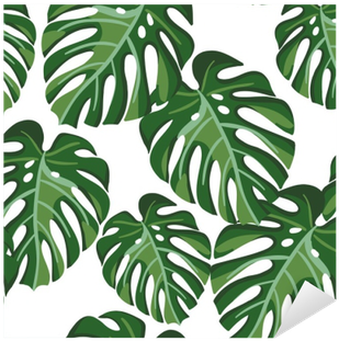 Monstera Palm Leaves On The White Background - Monstera Plant Background (400x400), Png Download